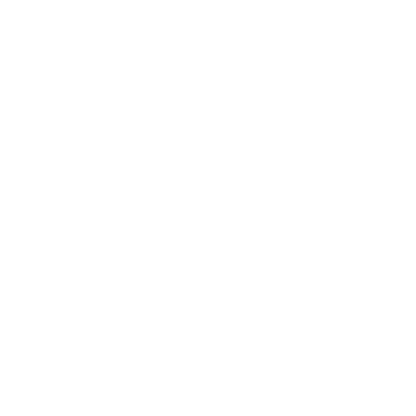 Logo White